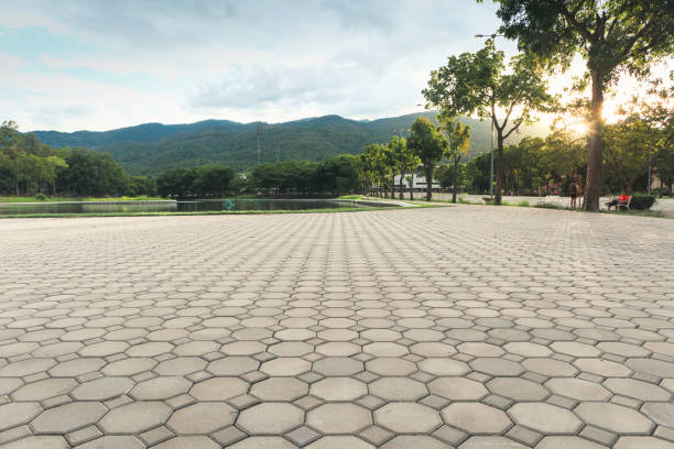 Best Professional Driveway Pavers  in Hasson Heights, PA
